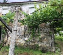 Terrenos Castelo de Paiva - Fotos para Castelo-de-paiva-Quinta em Bairros Castelo de Paiva (SD 02031)